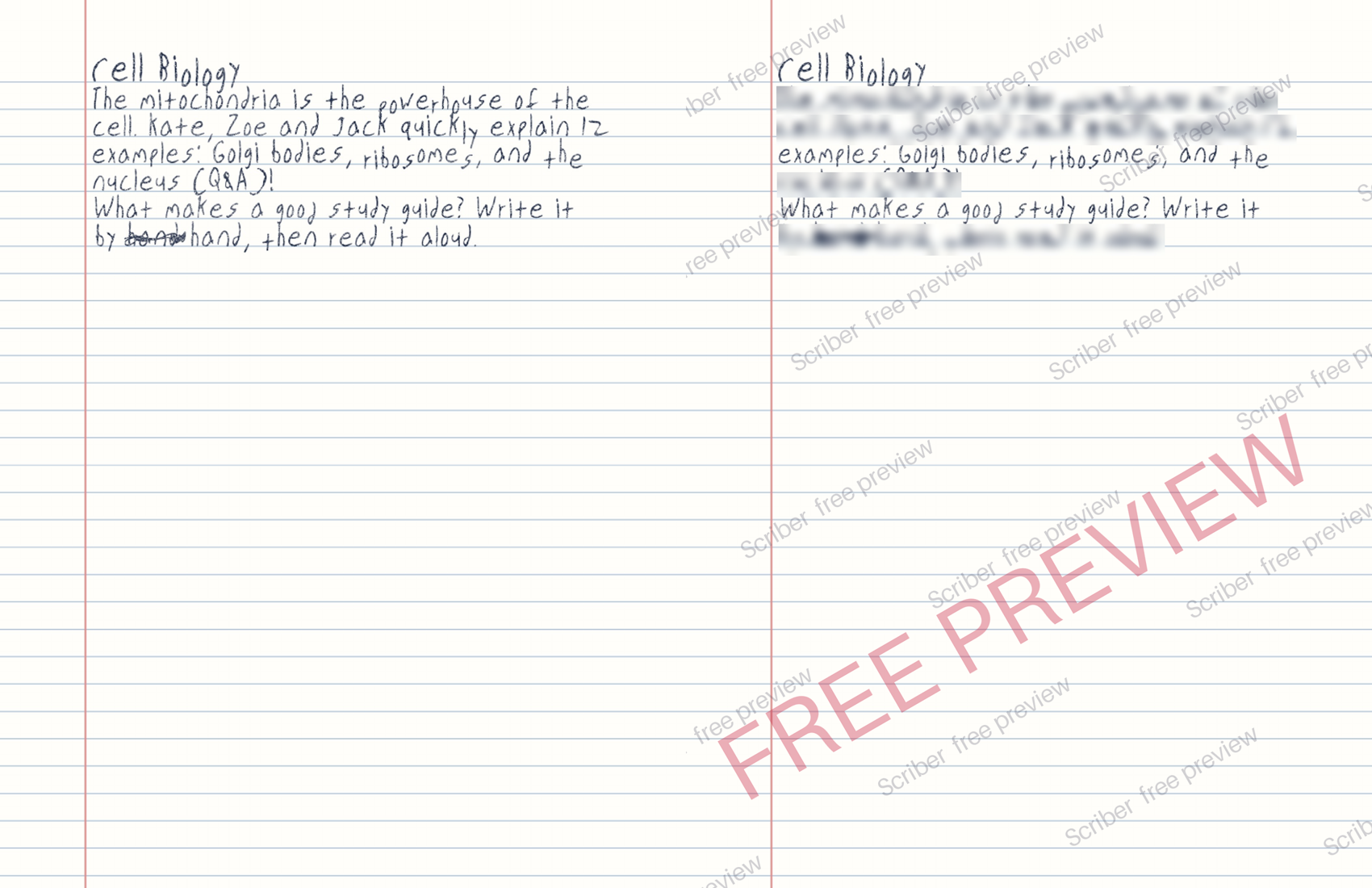 A page typed in handwriting, next to the free preview version